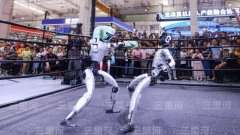 中国应摒弃个体国度的“小院高墙”